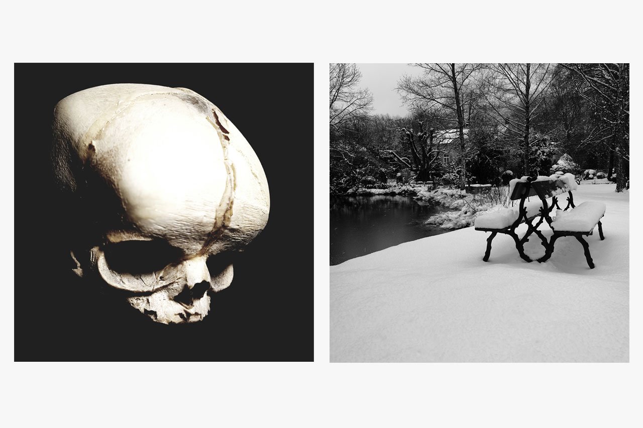 portfolio photography